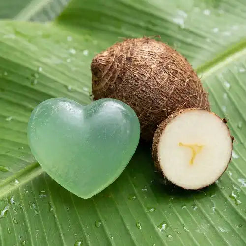 La planta detrás del squish